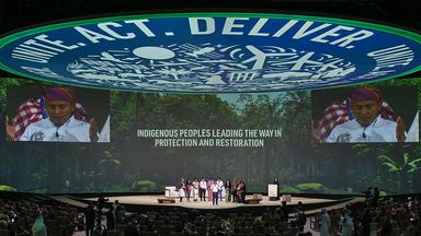 A session at COP28 in Dubai, in a large theater